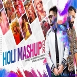 Best Holi Songs Mashup Remix Song 2022 DJ Ravish , DJ Ankit