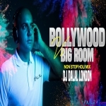 Non Stop Holi Remix 2022 DJ Mix Bollywood Vs Big Room - DJ Dalal London
