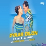 Pyar Dilon Ka Mela Hai Remix DJ Purvish x Sarfraz