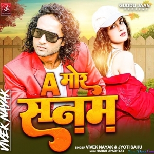 Ab To Chain Nahi Lagela Re Tor Bin Sanam