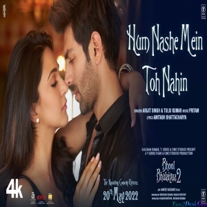Hum Nashe Mein Toh Nahin