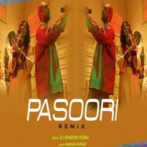 Pasoori (REMIX) DJ Shadow Dubai - Coke Studio Season 14