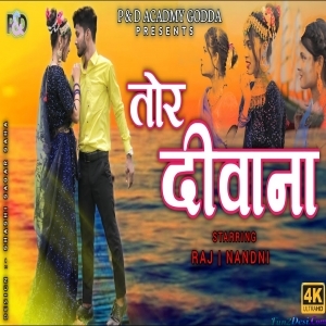 Tore Aashiq Ban Gelo Gori Re - Vinay Kumar