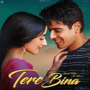 Tere Bina - Rahat Fateh Ali Khan