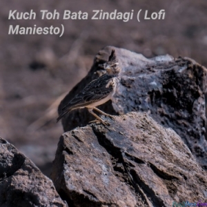 Kuch To Bata Zindagi