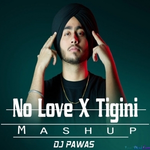 Tigini No Love Remix Mashup - DJ Pawas