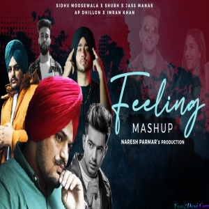 Feeling Punjabi Mashup 2022 - Naresh Parmar