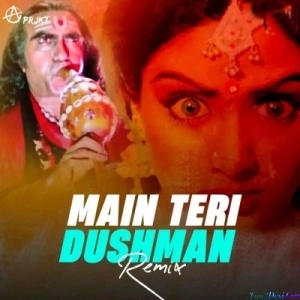 Main Teri Dushman - Naagin (Remix) - Aprjkt