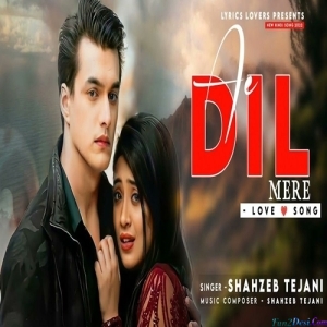 Ae Dil Mere Kyun Tu Roye - Shahzeb Tejan