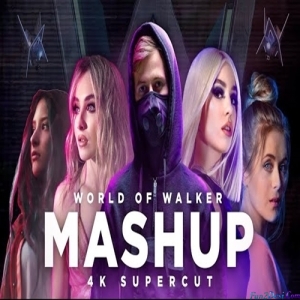 Alan Walker Mashup - 2022 - Vaibhav Khandare