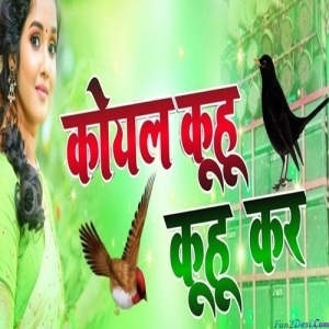 Koyal Kuhu Kuhu Kari