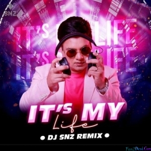 Its My Life (Remix) - DJ SNZ
