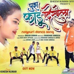 Pura Fadu Dikhaina - Ignesh