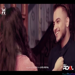 The Punjabi Wedding Mashup - VDj Royal