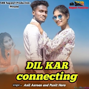 Dil Kar Connecting Kair Lelo Re - Punit Horo