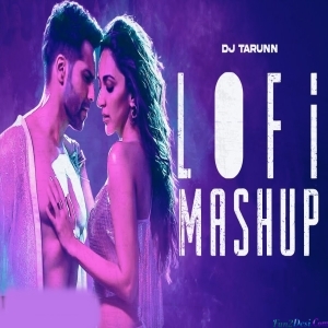 Bollywood LoFi Mashup Slowed Reverb Mix - DJ Tarun