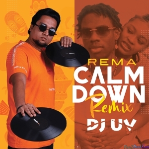 Calm Down (Remix) - DJ UV