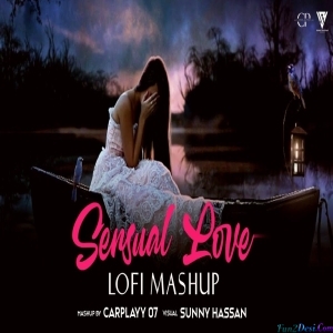 Sensual Love Emotional Lofi Mix Mashup - Sunny Hassan