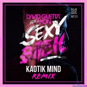 David Guetta Feat. Akon - Sexy Bit..h Remix - DJ Purvish