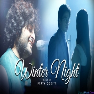 Winter Night Lofi Mashup Parth Dodiya
