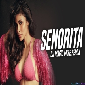 Senorita Flamenco Remix DJ Magic Mike