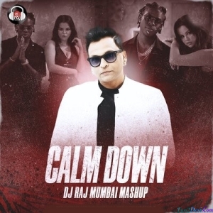 Calm Down (Mashup) - DJ Raj Mumbai