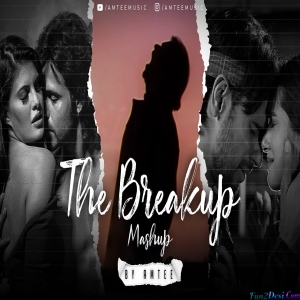 The Breakup Lofi Mashup 2023 - Amtee