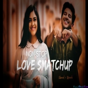 The Love Slowed and Reverb Mashup 2023