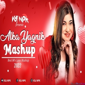 Alka Yagnik 90s Love Mashup - VDJ NPK