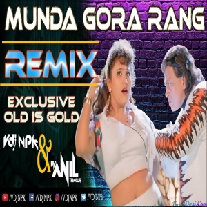 Munda Gora Rang Dekh Ke Deewana Ho Gaya Remix - VDJ NPK