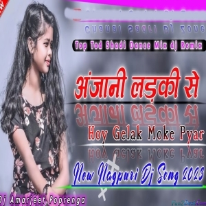 Anjani Ladki Se Nagpuri Dj Remix Song 2023
