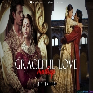 Graceful Love Lofi Mashup - Amtee