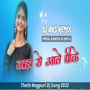 Kahan Se Aale Pike Whisky Beer Remix ARS Remix