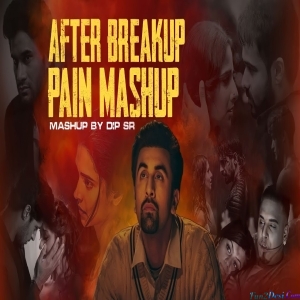 After BreakUp Heartbreak Pain Mashup 2023 - Dip SR