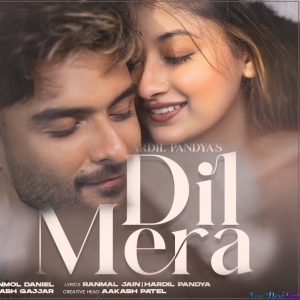 Haye Re Le Gai Dil Mera - Hardil Pandya