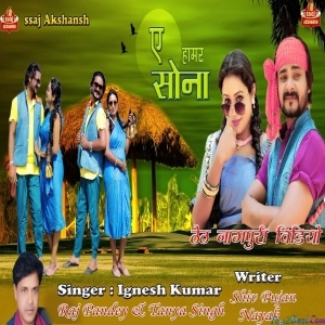Ae Hamar Sona - Ignesh