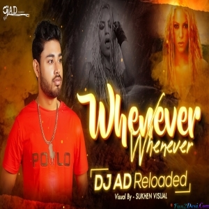 Shakira - Whenever Wherever Tech House Remix - DJ AD RELOADED