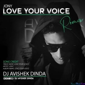 Love Your Voice (Remix) - DJ Avishek Dinda