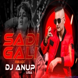 SADI GALI REMIX 2023 - DJ ANUP USA