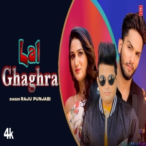 Redi Redi Ghaghra - Raju Punjabi