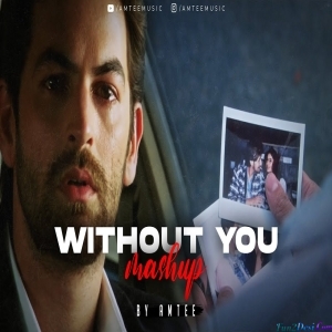 Without You Lofi Mashup - Amtee