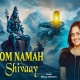 Om Namah Shivay - Sejal Keshari