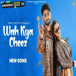 Wah Kya Cheez Bani - Sumit Parta, Pragati