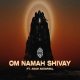 Om Namah Shivay Remix - DJ MITRA