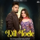 Dil Tode - DJ Flow