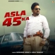 Asla 45 Ka - Surender Romio, Ashu Twinkle