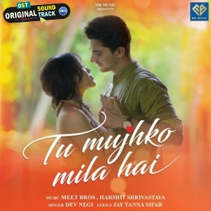 Tu Mujhko Mila Hai - Dev Negi
