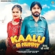Kaalu Ki Mummy - Surender Romio, Kanchan Nagar