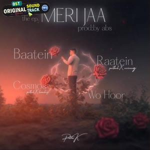 Raatein - Pathak, Aviraag