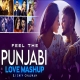 Feel The Punjabi Love Mashup - Dj Shiv Chauhan